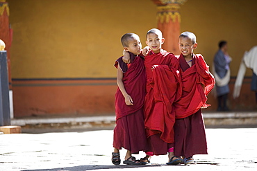 Buddhist monks, Paro Dzong, Paro, Bhutan, Asia