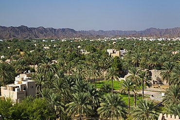 Nizwa, Oman, Middle East