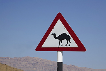 Camel road sign, Wahiba, Oman, Middle East