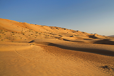 Wahiba Sand Dunes, Oman, Middle East