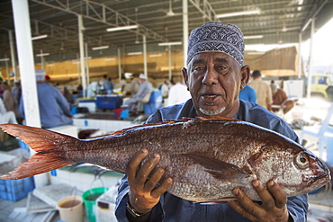 Muscat's fish market, Muscat, Oman, Middle East