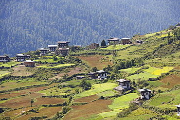 Haa Valley, Bhutan, Asia