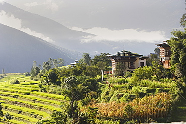 Punakha, Himalayas, Bhutan, Asia