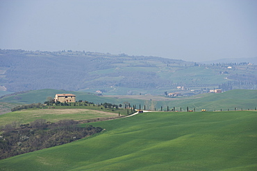 Farm near Pienza, Val D'Orcia, Tuscany, Italy, Europe