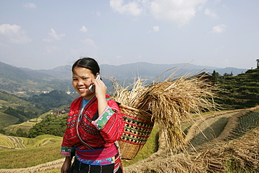 Woman of Yao minority with cellphone, Longsheng terraced ricefields, Guilin, Guangxi Province, China, Asia