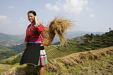 Woman of Yao minority with cellphone, Longsheng terraced ricefields, Guilin, Guangxi Province, China, Asia