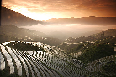 Longsheng terraced ricefields, Guangxi Province, China, Asia