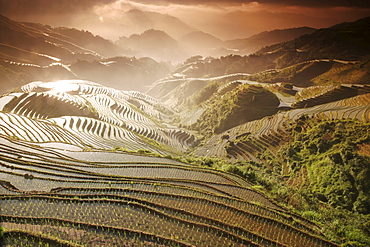 June sunrise, Longsheng terraced ricefields, Guangxi Province, China, Asia