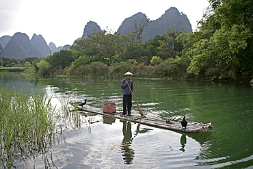 Fisherman with cormorants, Yangshuo, Li River, Guangxi Province, China, Asia