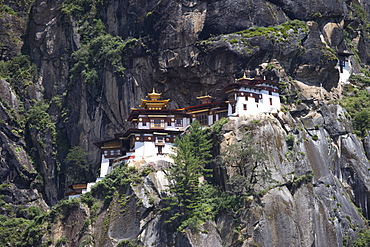 Taktshang Goemba (Tiger's Nest) Monastery, Paro, Bhutan, Asia