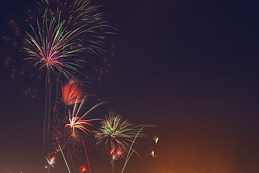 Fireworks celebrating the 4th of July, Miami, Florida, United States of America, North America