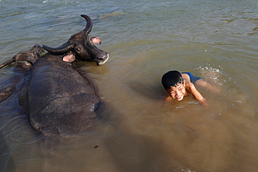 A boy bathes with his water buffalo in the Mekong river, near Kratie, eastern Cambodia, Indochina, Southeast Asia, Asia