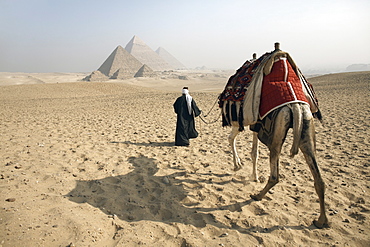 A Bedouin guide and camel approaching the Pyramids of Giza, UNESCO World Heritage Site, Cairo, Egypt,North Africa, Africa