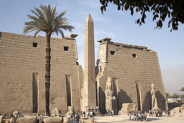 Luxor Temple, Thebes, UNESCO World Heritage Site, Egypt, North Africa, Africa