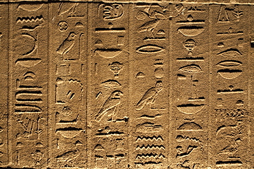 Hieroglyphs adorn the walls of the Temple of Philae, UNESCO World Heritage Site, near Aswan, Egypt, North Africa, Africa