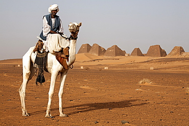 A guide and camel stand in front of the pyramids of Meroe, Sudan's most popular tourist attraction, Bagrawiyah, Sudan, Africa