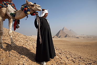 A Bedouin guide with his camel, overlooking the Pyramids of Giza, Cairo, Egypt, North Africa, Africa