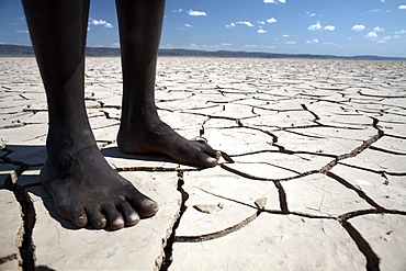 The flat expanse of the Grand Barra Depression, Djibouti, Africa