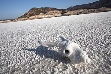 The lowest point on the African continent and the most saline body of water on earth, Lac Assal, Djibouti, Africa