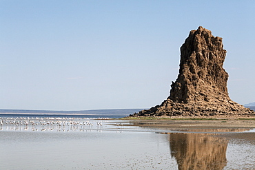 The desolate landscape of Lac Abbe, dotted with limestone chimneys, Djibouti, Africa