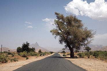 An empty road and the barren landscape of western Eritrea, Africa