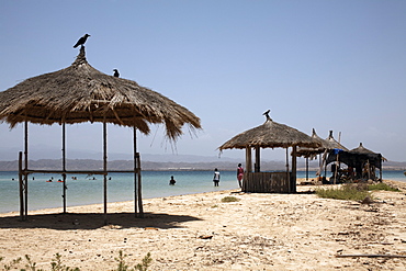 Green Island (Sheikh Said), a short boat trip from Massawa, Red Sea, Eritrea, Africa