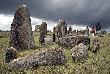 The mysterious site of Tiya, containing around 36 ancient stelae, UNESCO World Heritage Site, Tiya, Ethiopia, Africa