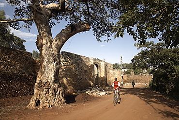 The Buda gate, one of six gates leading into the ancient walled city of Harar, Ethiopia, Africa