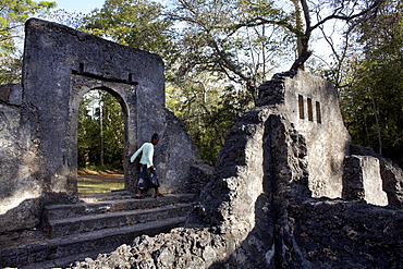 Gedi ruins, Malindi, Kenya, East Africa, Africa