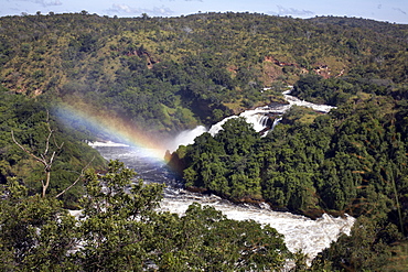 Murchison Falls, Murchison National Park, Uganda, East Africa, Africa