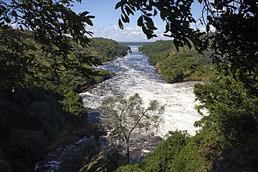 Murchison Falls, Murchison National Park, Uganda, East Africa, Africa