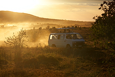 Tourists on safari in the Masai Mara National Reserve, Kenya, East Africa, Africa