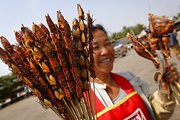 Woman selling bug skewers at a bus stop, Savannakhet province, Laos, Indochina, Southeast Asia, Asia