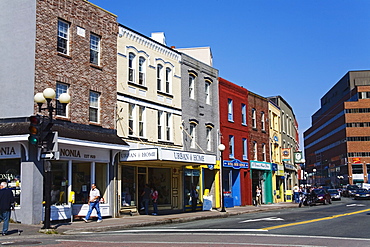 Water Street, St. John's City, Newfoundland, Canada, North America