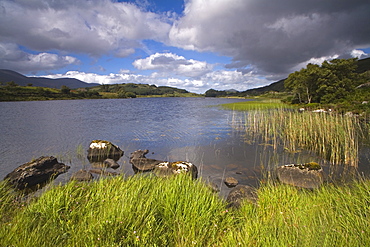 Looscaunagh Lake, Killarney National Park, County Kerry, Munster, Republic of Ireland, Europe