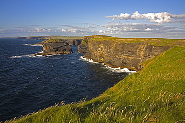 Cliffs near Kilkee, Loop Head, County Clare, Munster, Republic of Ireland, Europe