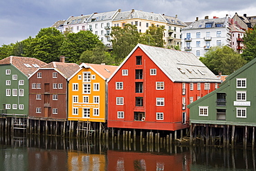 Warehouses on Bryggen waterfront in Old Town District, Trondheim, Nord-Trondelag Region, Norway, Scandinavia, Europe