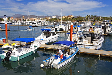 Marina, Cabo San Lucas, Baja California, Mexico, North America