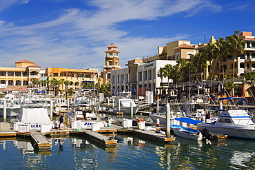 Marina, Cabo San Lucas, Baja California, Mexico, North America