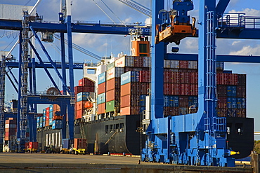 Container port, Charleston, South Carolina, United States of America, North America