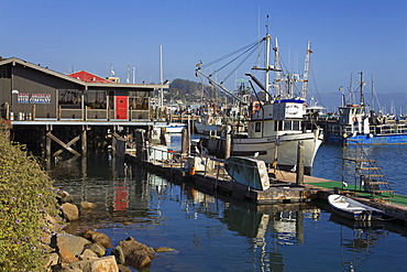 Fishing boats, City of Morro Bay, San Luis Obispo County, California, United States of America, North America