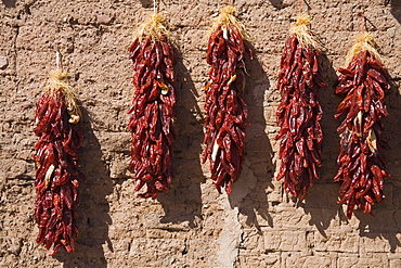 Chili peppers on adobe wall, Tubac, Greater Tucson Region, Arizona, United States of America, North America