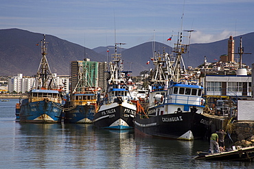 Fishing boats in Coquimbo Port, Norte Chico Region, Chile, South America