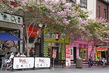 Dixon Street in Chinatown, Central Business District, Sydney, New South Wales, Australia, Pacific