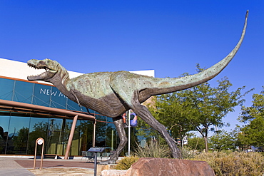 Albertosaurus at the New Mexico Museum of Natural History, Albuquerque, New Mexico, United States of America, North America