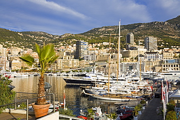 Yacht marina in Port de Monaco, Monte Carlo City, Monaco, Mediterranean, Europe