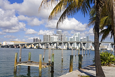 Miami skyline, Florida, United States of America, North America