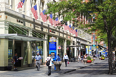 16th Street Mall, Denver, Colorado, United States of America, North America