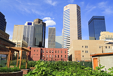 Skyline, Denver, Colorado, United States of America, North America 