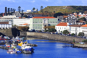 Fishing boats in harbour, Ponta Delgada City, Sao Miguel Island, Azores, Portugal, Atlantic, Europe 